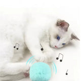 Interactive Squeaking Catnip Ball Toy