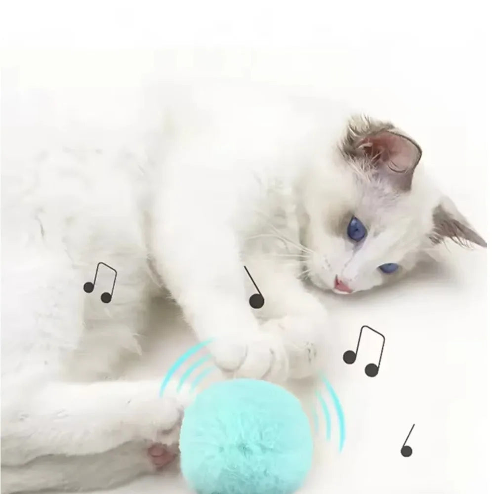 Interactive Squeaking Catnip Ball Toy
