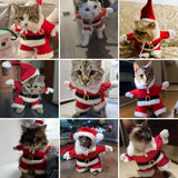 Santa Claus Costume Dress for Cats (Christmas Cosplay Outfit)