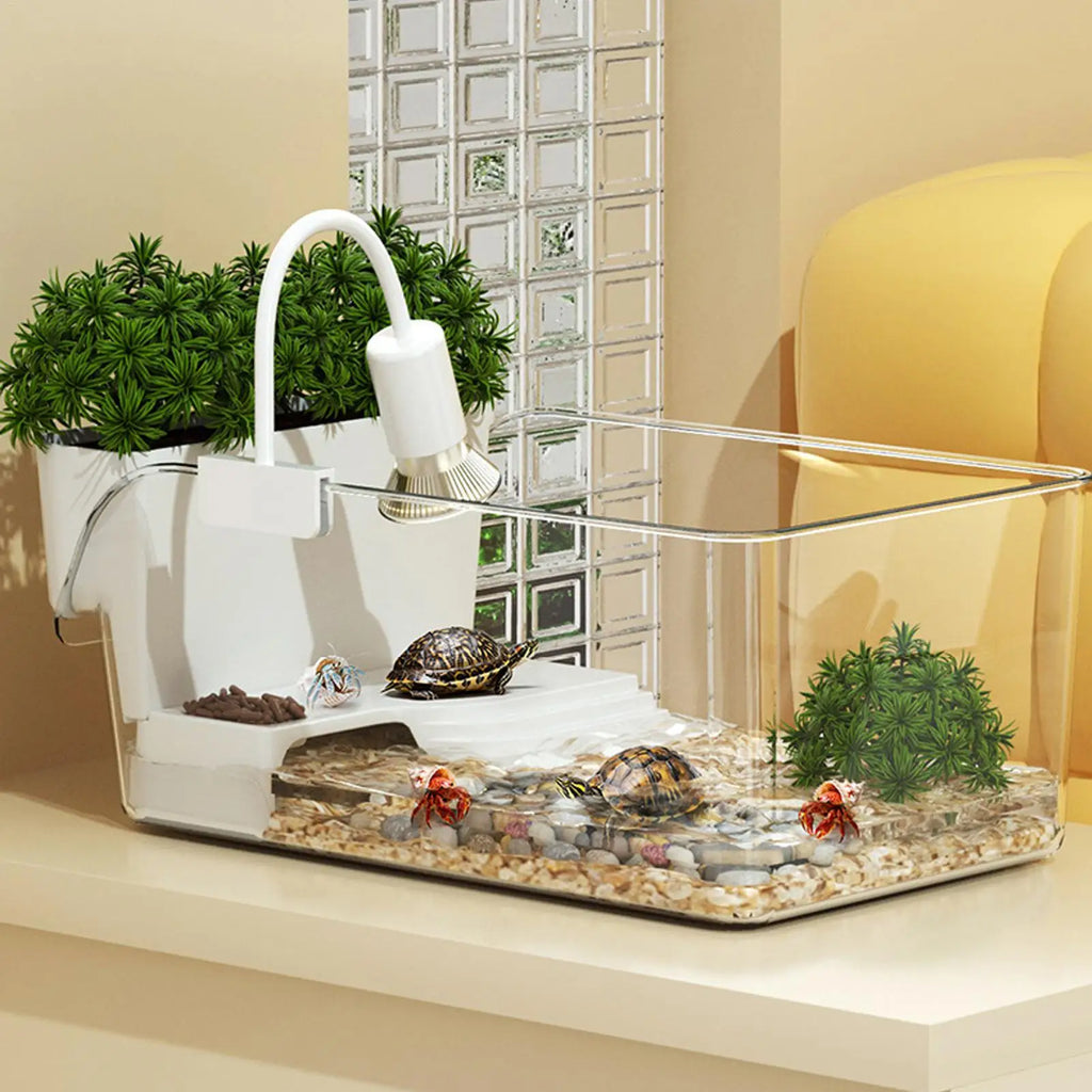 Transparent Plastic Turtle Terrarium & Reptile Breeding Tank