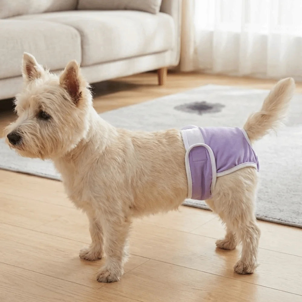 Reusable Dog Physiological Pants (Leak-Proof, Breathable, Adjustable)