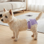 Reusable Dog Physiological Pants (Leak-Proof, Breathable, Adjustable)