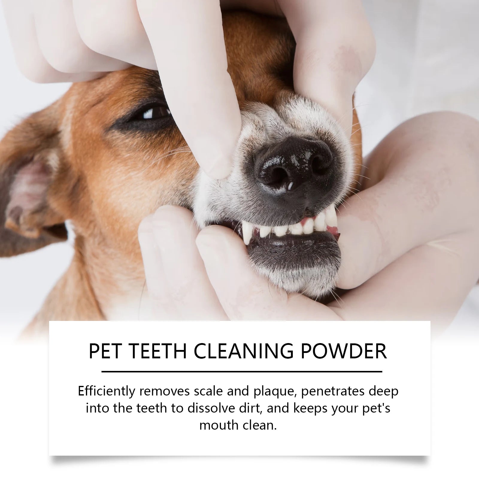 Pet Teeth Cleaning Powder — Reduces Tartar & Freshens Breath, 100g