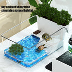 Transparent Plastic Turtle Terrarium & Reptile Breeding Tank