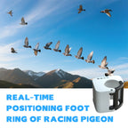 IP67 Waterproof 2.5g Racing Pigeon GPS Tracker - GLONASS/GSM Leg Band with 160-Hour Battery