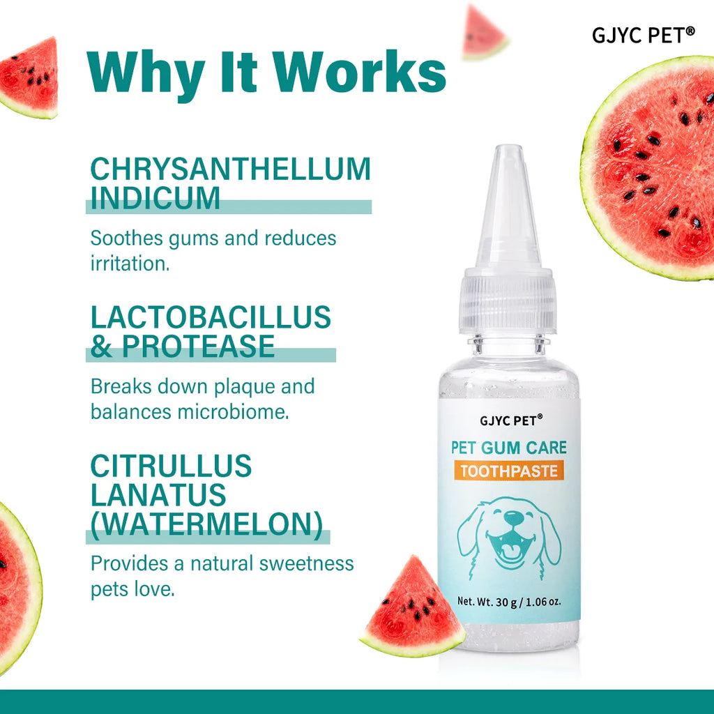 Watermelon Toothpaste Kit with Brush & Finger Brush — Plaque & Tartar Care
