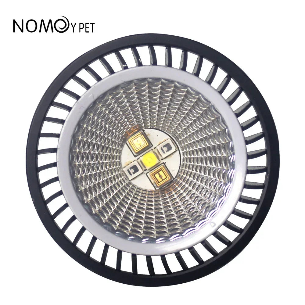 UVB & UVA Reptile Lamp — Energy-Saving Calcium & Sun Bulb for Turtles & Lizards