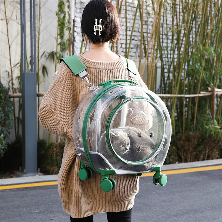 Large-Capacity Transparent Space Capsule Pet Suitcase with Shoulder Straps