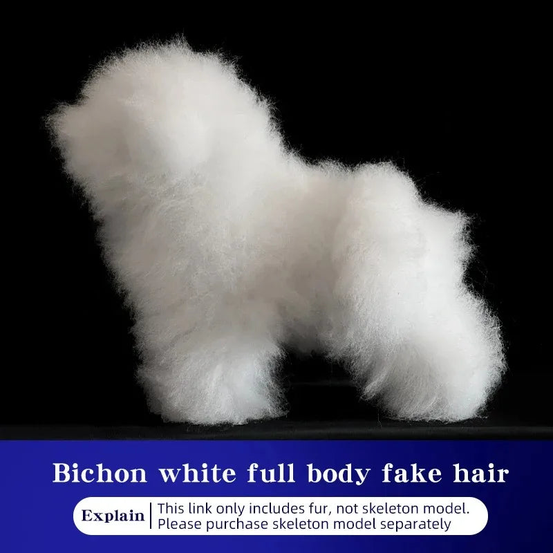 Bichon Grooming Practice Model with Wig