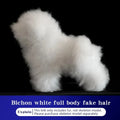 Bichon Grooming Practice Model with Wig