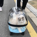 Transparent Foldable Pet Stroller Trolley for Cats & Dogs — Lightweight Compact Portable Outdoor Carrier