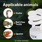 UVB Reptile Basking Lamp — 13W E27 Bulb for Vitamin D3 & Calcium Absorption