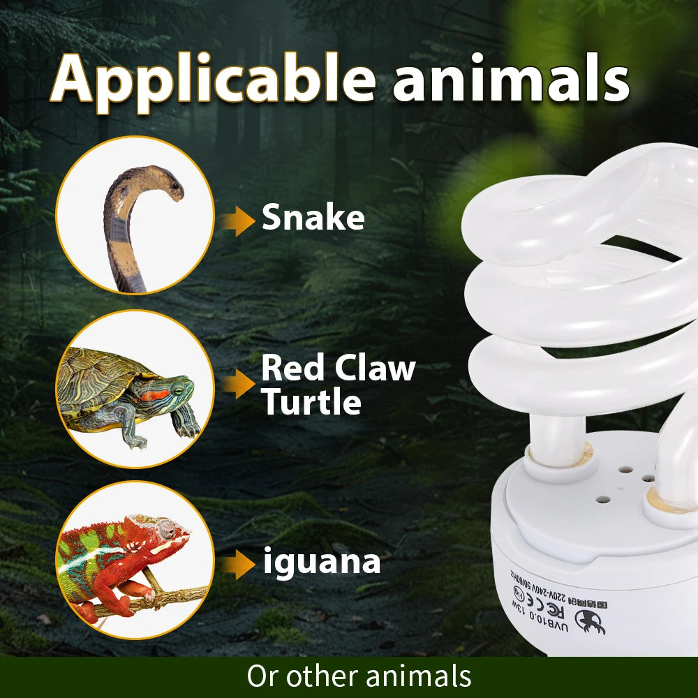 UVB Reptile Basking Lamp — 13W E27 Bulb for Vitamin D3 & Calcium Absorption