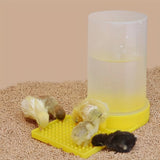 Automatic Chicken Waterer Cup — Drowning-Prevention Hydration Dispenser