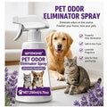 Pet Urine Odor Remover Spray — Fast-Drying, No-Residue Stain & Smell Eliminator