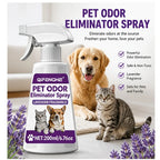 Pet Urine Odor Remover Spray — Fast-Drying, No-Residue Stain & Smell Eliminator