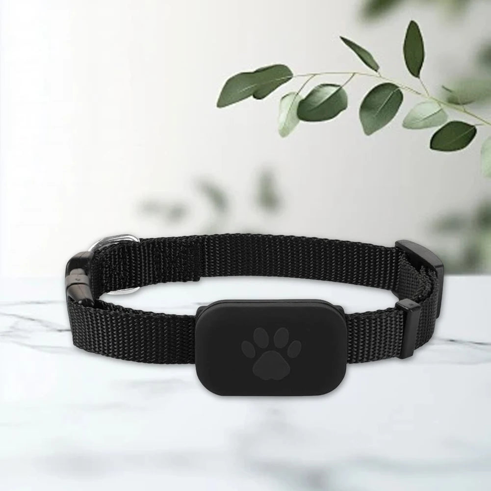 Everyday Smart Cat Locator Collar with GPS Anti-Loss Tracker - Adjustable Comfort Fit