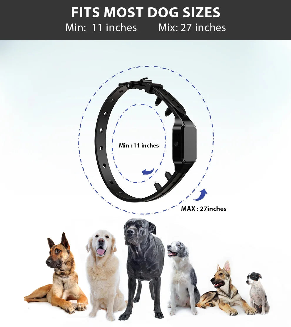 Long-Range Dog Training Collar (500m)
