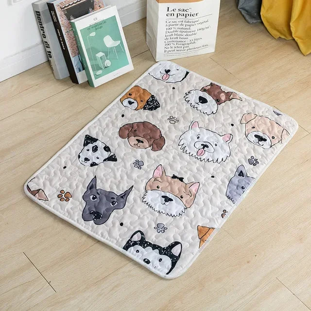 Multi-Functional Washable Pet Mat