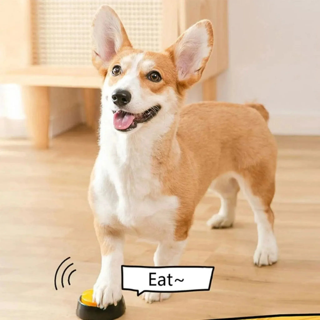 Dog Communication Button Set