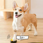 Dog Communication Button Set
