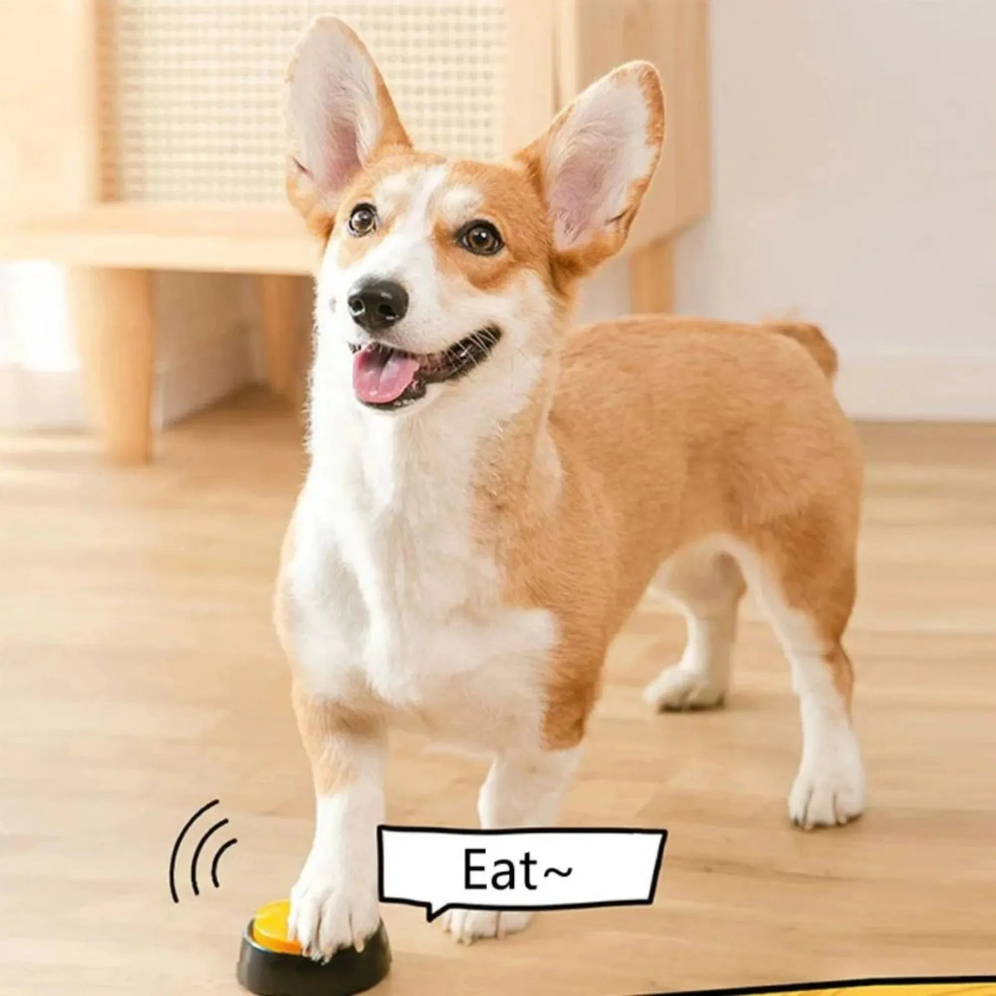 Dog Communication Button Set