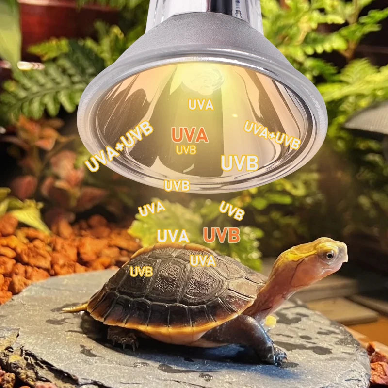 UVA+UVB Reptile Basking Lamp — Full-Spectrum Heat Bulb, 25W/50W, 110V/220V