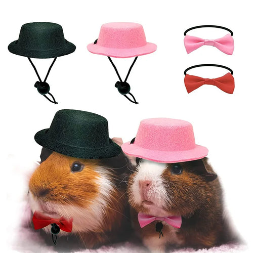 Guinea Pig Hat & Bowtie Costume Set — Small Pet Party Outfit