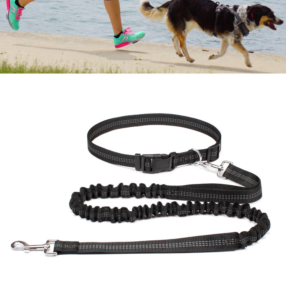 Hands-Free Running Dog Leash with Waist Belt