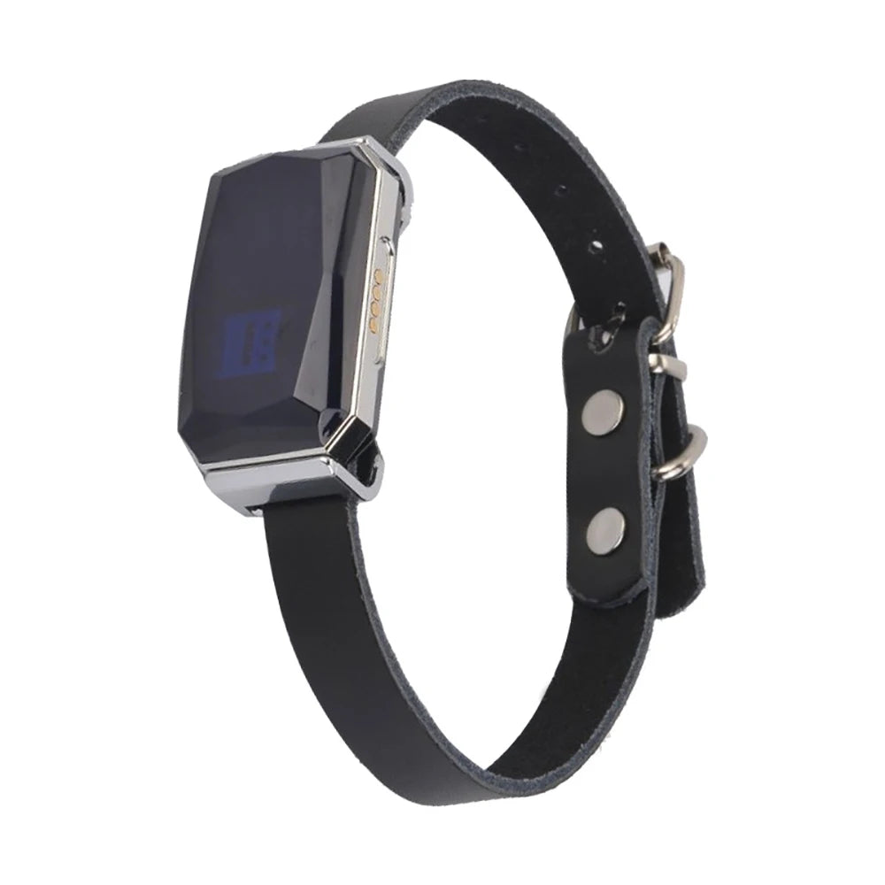 G12 GPS Smart Pet Locator Collar for Dogs & Cats - Universal Waterproof Positioning Tracker