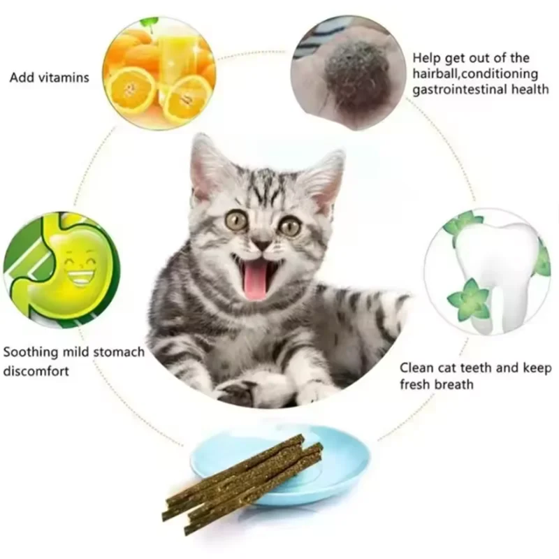 Natural Peppermint Cat Chew Stick