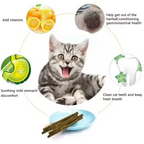 Natural Peppermint Cat Chew Stick