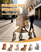 2-in-1 Convertible Pet Stroller with Removable Carrier & One-Click Fold for Medium Dogs & Cats up to 55 lbs