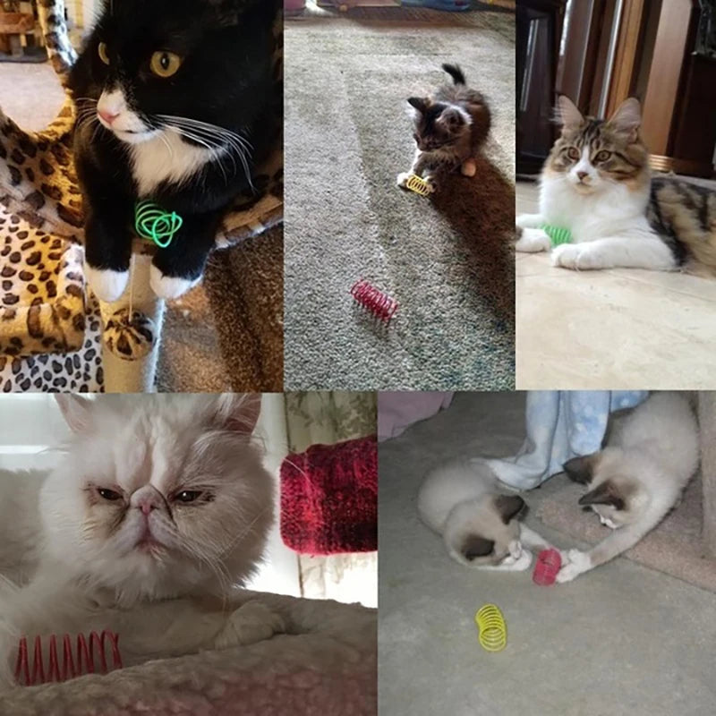 Heavy-Gauge Cat Spring Coil Toys — Bright Colors, 4 to 20-Pack