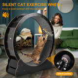 43-Inch Cat Exercise Wheel — Silent Freestanding Indoor Running Wheel