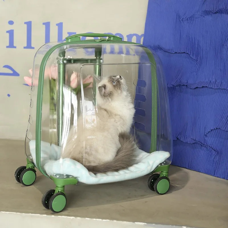 Transparent Capsule Pet Backpack Carrier with Wheels for Cats & Small Dogs