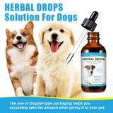 Herbal Cough & Runny Nose Drops for Dogs — Soothing Relief Support