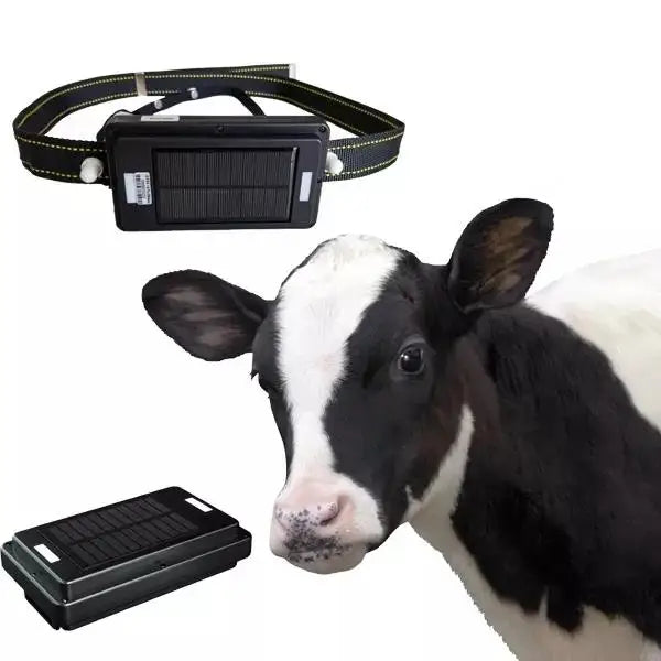 20,000mAh Solar GPS Tracker for Cattle, Horses & Large Animals - 2G IP67 Waterproof
