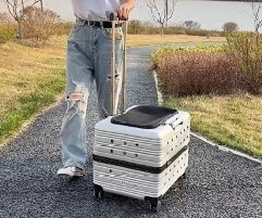2026 Large Capacity Transparent Pet Suitcase Portable Stroller Double Medium To Large Pets Cat Outdoor Travel Bag