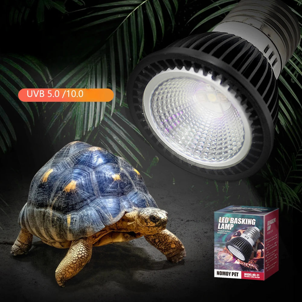 UVB & UVA Reptile Lamp — Energy-Saving Calcium & Sun Bulb for Turtles & Lizards