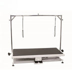 Electric Veterinary Grooming Table with X-Style Lift