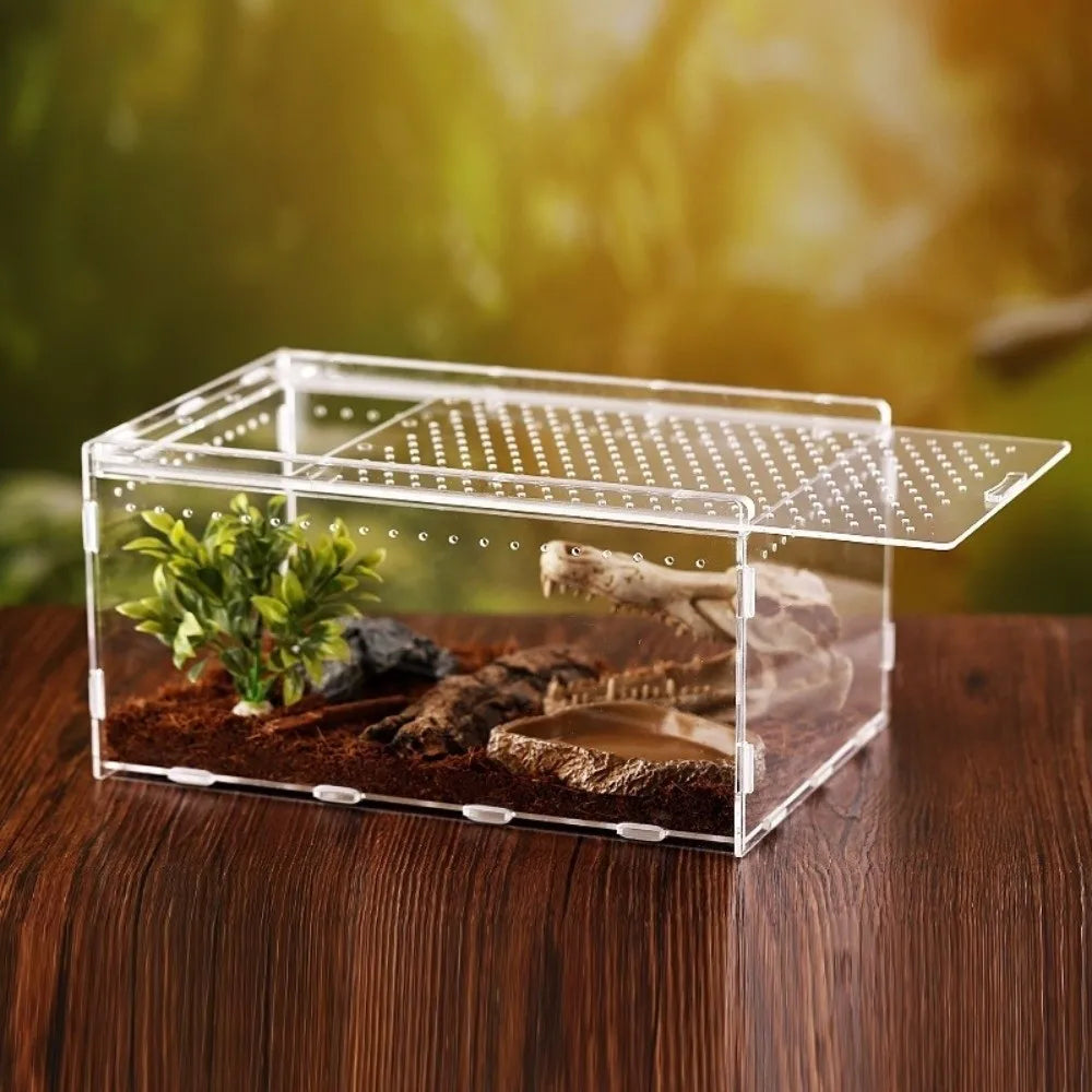 Clear Acrylic Reptile Terrarium — Ventilated Anti-Escape Habitat