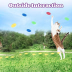 Flying Disc Launcher Toy — Interactive Chase Toy for Cats & Dogs
