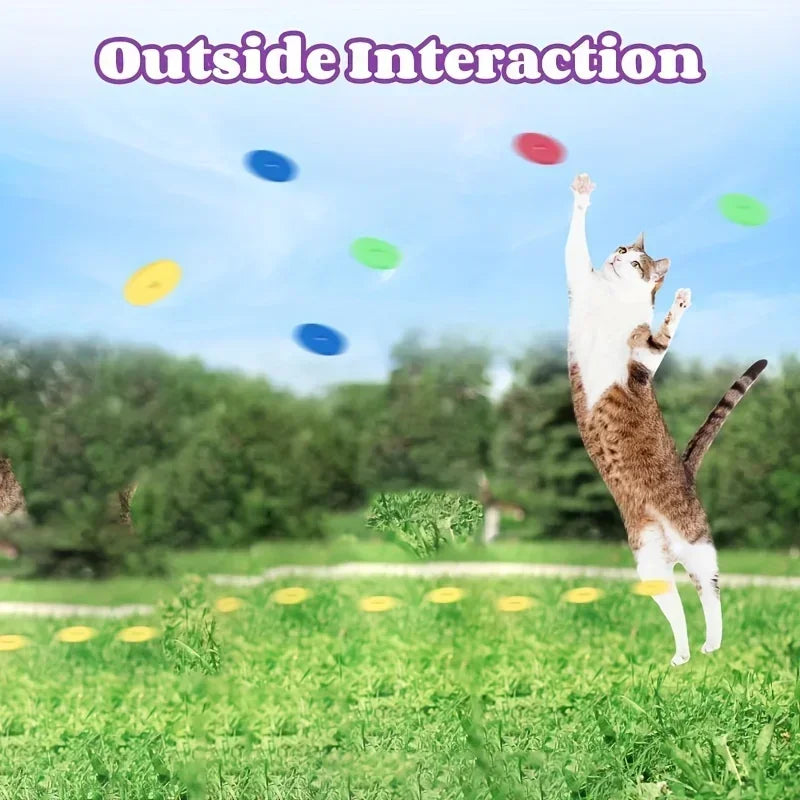Flying Disc Launcher Toy — Interactive Chase Toy for Cats & Dogs