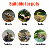 EU-Plug Reptile Heating Pad — Insulation Mat for Snakes, Spiders & Small Pets