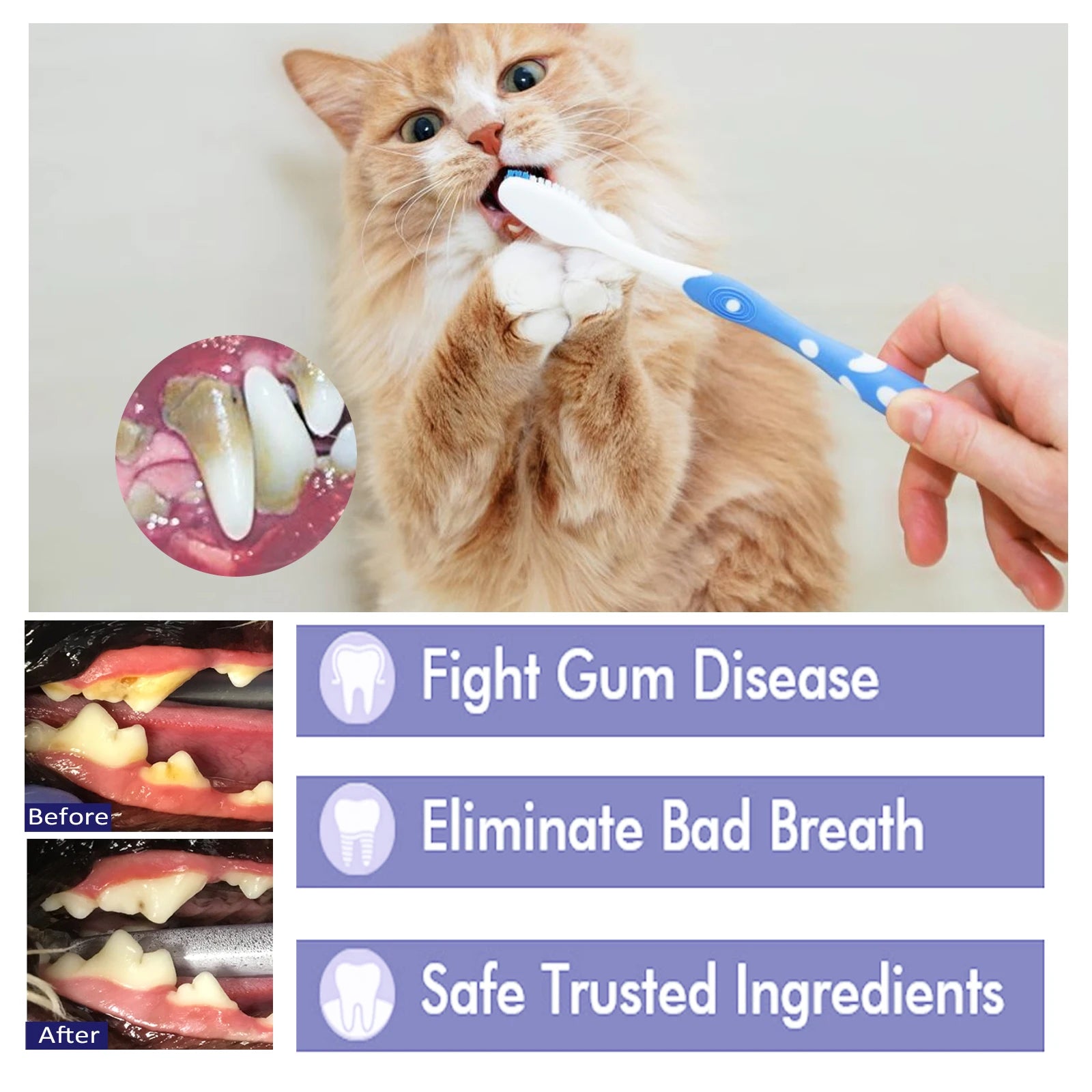 V34 Pet Toothpaste — Plaque, Tartar & Fresh Breath Formula, 60g