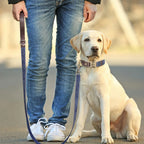 Personalized Dog Collar & Leash Set