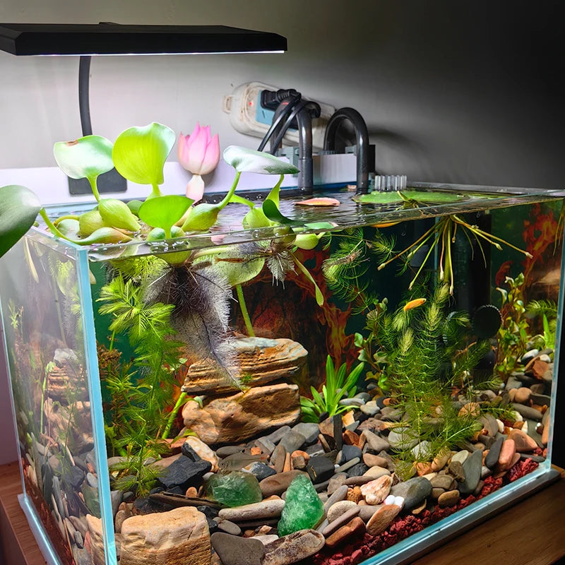 USB Full Spectrum Aquarium LED Clip Light (8W, Dimmable, 360° Rotatable)