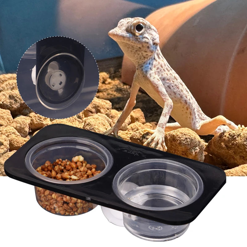 Suction-Cup Double Feeding Bowl — Space-Saving Dish for Geckos & Chameleons