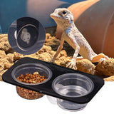 Suction-Cup Double Feeding Bowl — Space-Saving Dish for Geckos & Chameleons
